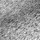 Root! S 25x35cm, M 40x60cm, L 40x120cm