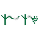 Augalų treniravimui 50vnt.