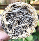 MycoTerra Kraken 57g, 114g, 255g / milteliai