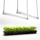 Mars Hydro VG40 40W LED auginimo lempos skirtos vegetacijos ir daigų etapams