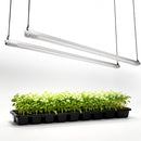 Mars Hydro VG80 80W LED auginimo lempos skirtos vegetacijos ir daigų etapams