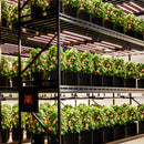 2025 Spider Farmer® G8600 860W LED + Wifi / Bluetooth Smart App