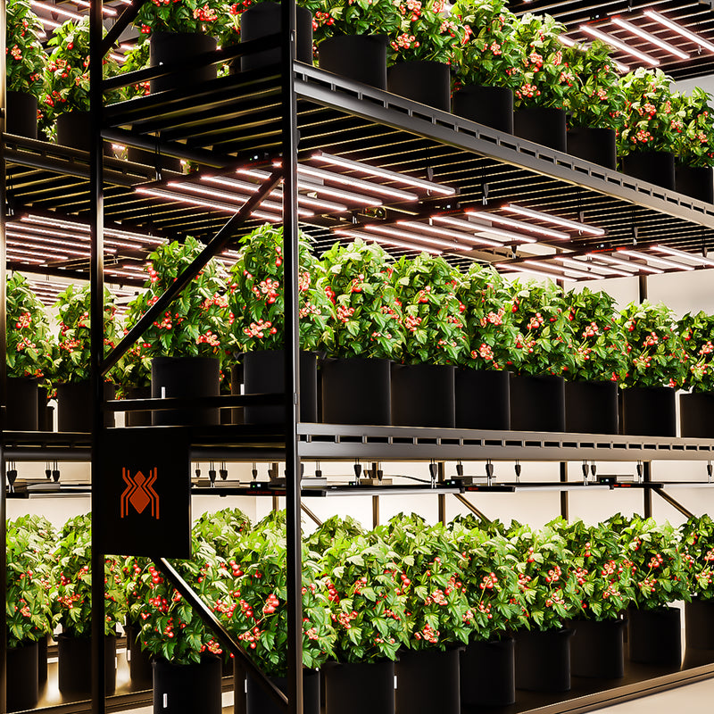 2025 Spider Farmer® G8600 860W LED + Wifi / Bluetooth Smart App