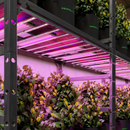 Mars Hydro ADlite UV30+IR15+R30+Blue30 LED auginimo lempų juostos papildomam apšvietimui
