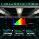 Mars Hydro Smart FC-E 3000 LED 300W 100x100x200cm + iFresh vėdinimo sistema / auginimo rinkinys