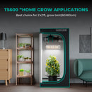 Mars Hydro TS600 100W 60x60x140cm / auginimo rinkinys