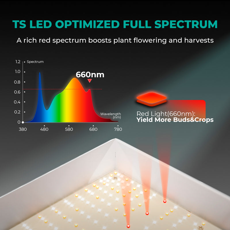 Mars Hydro TSL2000 300W 120x60x180cm / auginimo rinkinys