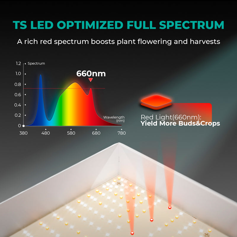 Mars Hydro TS1000 150W 80x80x160cm / auginimo rinkinys