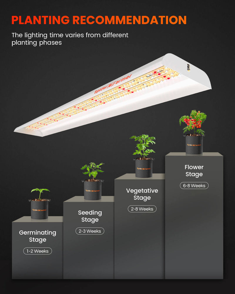 2025 Spider Farmer® SF600 LED 74W 120x60cm