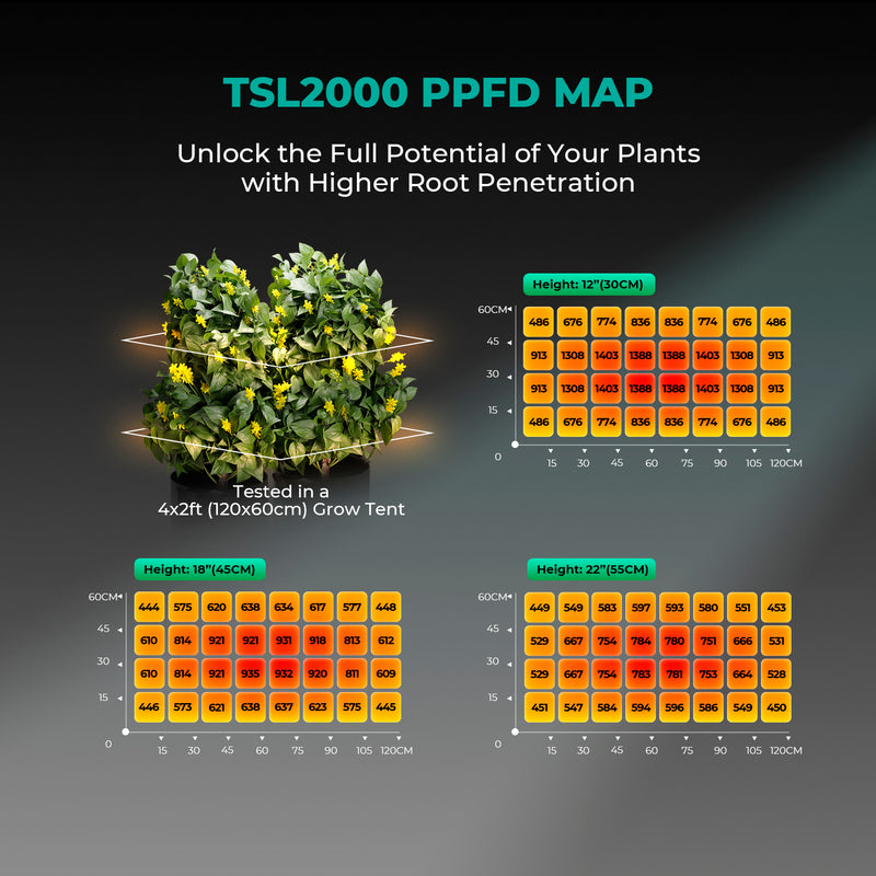 2024 Mars Hydro TSL 2000 pilno spektro 300W LED auginimo lempa