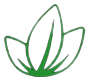 Amnesia.lt logo