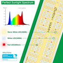 Mars Hydro SP 6500 LED 650W 150x60cm