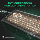 Mars Hydro SP 3000 300W LED