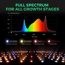 Mars Hydro SP 3000 300W LED