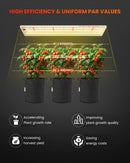 Spider Farmer SF300 33 W LED / auginimo lempa
