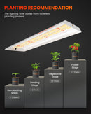 Spider Farmer SF300 33 W LED / auginimo lempa