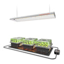 Spider Farmer SF300 33 W LED + daigyklos + šildymo kilimėlis / daiginimo rinkinys – pagrindinė nuotrauka