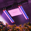 Spider Farmer SF1000 100 W LED + UV30 ir IR16 60 cm / apšvietimo rinkinys – pagrindinė nuotrauka