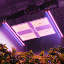 Spider Farmer SF7000 650 W LED + UV60 ir IR30 90 cm / apšvietimo rinkinys – pagrindinė nuotrauka