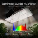 Spider Farmer SF2000 200 W LED + GGS valdiklis / apšvietimo rinkinys – galerijos nuotrauka 2