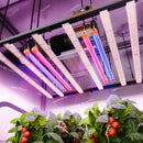Spider Farmer UV30 + IR16 60 cm LED / papildomo apšvietimo rinkinys – pagrindinė nuotrauka