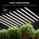 Spider Farmer Glow80 80 W LED / auginimo lempų rinkinys, 2 juostos – galerijos nuotrauka 6