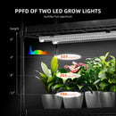 Spider Farmer 120 W LED + 70x35x150 cm 4 aukštų lentyna su tentu + 4 daiginimo padėklai / daiginimo ir auginimo rinkinys