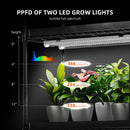 Spider Farmer 60 W LED + 40x30x120 cm 4 lygių lentyna su tentu + 4 daiginimo padėklai / daiginimo rinkinys