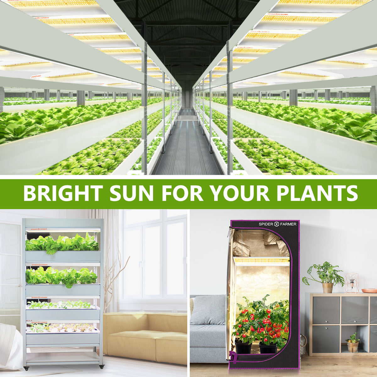 FARMER 5 (63.5M² - 5M X 12.7M; 16.4FT X 41.7FT) – KSB Greenhouse