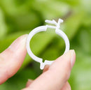 Augalų tvirtinimui 50vnt.